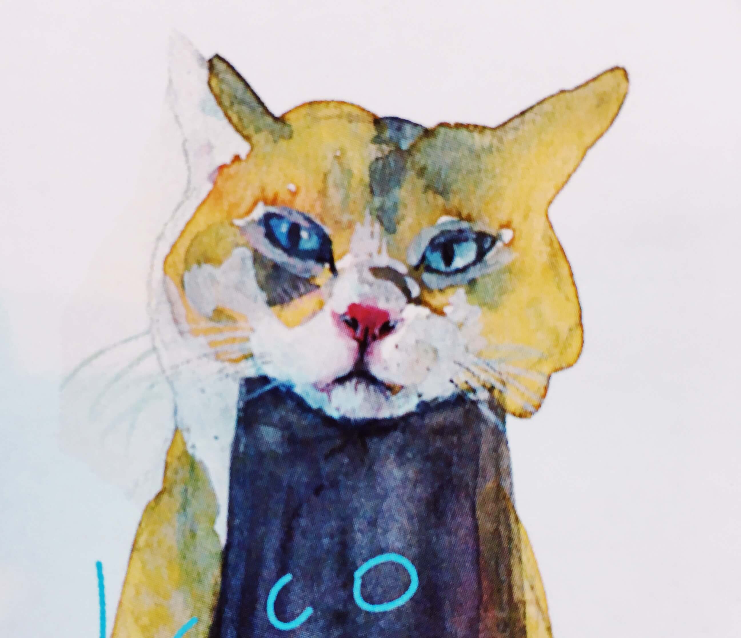 水彩画でネコを描く イラスト作家 ネコとごろん さんと対談したよ マキナビ
